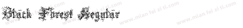 Black Forest Regular字体转换